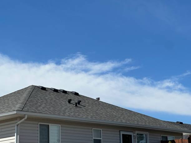 Professional Roofing Services in Hernando Beach, FL